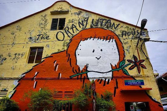 The Orangutan House
